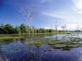 Tyto Wetlands - Lightning Ridge Tourism 0
