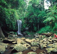 Tamborine National Park - Lightning Ridge Tourism