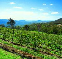 Preston Peak Wines - Lightning Ridge Tourism