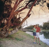 The Looking Glass - Lightning Ridge Tourism