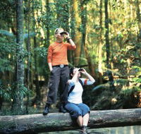 Birdwatching on the Fraser Coast - Lightning Ridge Tourism