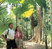 Licuala State Forest - Lightning Ridge Tourism