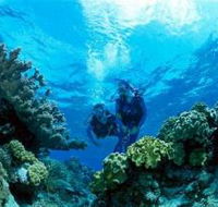 Coral Gardens Dive Site - Lightning Ridge Tourism