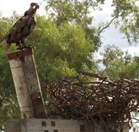 Blackall Sculpture Trail - Lightning Ridge Tourism