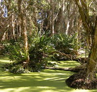 Arkarra Lagoons and Tea Gardens - Lightning Ridge Tourism