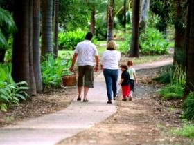 Emerald Botanic Gardens - Lightning Ridge Tourism 0