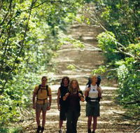 Wet Tropics Great Walk - Lightning Ridge Tourism