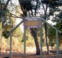 Carroll Nature Reserve Kokoda Track - Lightning Ridge Tourism