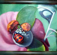 Kingaroy Shire Art Gallery - Lightning Ridge Tourism