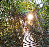 Tree Top Walkway - Lightning Ridge Tourism