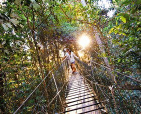 Tree Top Walkway - Lightning Ridge Tourism 0
