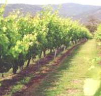 Girraween Estate - Lightning Ridge Tourism