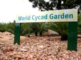 Anderson Park Botanic Gardens - Lightning Ridge Tourism 0