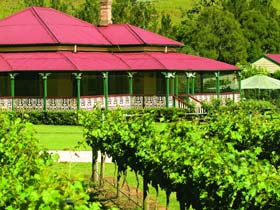 OReillys Canungra Valley Vineyards - Lightning Ridge Tourism 0