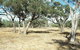 Forest Den National Park - thumb 0