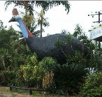 The Big Cassowary - Lightning Ridge Tourism