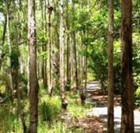 Hallorans Hill - Lightning Ridge Tourism