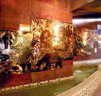 Riversleigh Fossil Centre - Lightning Ridge Tourism