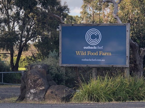 Wild Food Farm & Cafe - Lightning Ridge Tourism 1