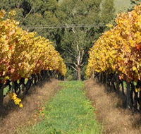 Wild Dog Winery  Restaurant - Lightning Ridge Tourism