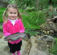 Wild Food Farm  Cafe - Lightning Ridge Tourism