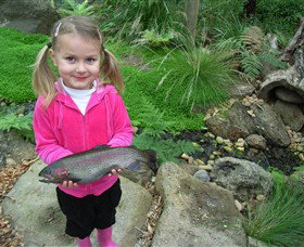 Wild Food Farm & Cafe - Lightning Ridge Tourism 0