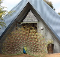 Halls Gap Zoo - Lightning Ridge Tourism