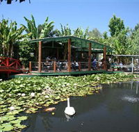 Blue Lotus Water Garden - Lightning Ridge Tourism