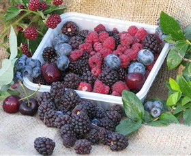 Porepunkah VIC Lightning Ridge Tourism