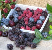 Bright Berry Farms - Lightning Ridge Tourism