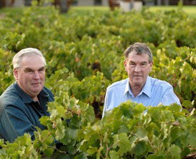 Campbells Wines - Lightning Ridge Tourism 0