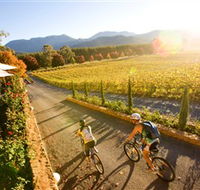 Boyntons Feathertop Winery - Lightning Ridge Tourism