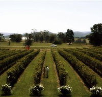 Rochford Wines - Lightning Ridge Tourism