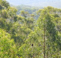 Bunyip State Park - Lightning Ridge Tourism