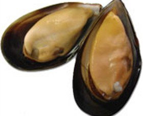 Sea Bounty - Lightning Ridge Tourism 0