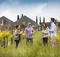Willow Creek Vineyard - Lightning Ridge Tourism