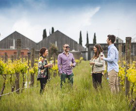 Willow Creek Vineyard - Lightning Ridge Tourism 0