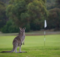 Anglesea Golf Club - Lightning Ridge Tourism