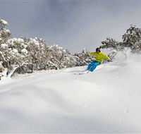 Mt Buller and Mt Stirling Alpine Resort - Lightning Ridge Tourism