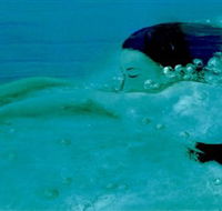 Muse - Lightning Ridge Tourism