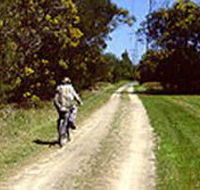 Koomba Park - Lightning Ridge Tourism