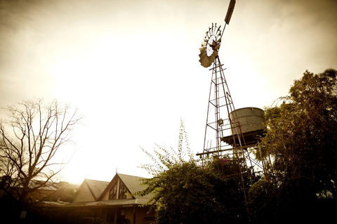 Brown Brothers Milawa Vineyard - Lightning Ridge Tourism 1