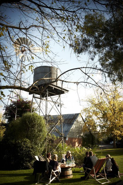 Brown Brothers Milawa Vineyard - Lightning Ridge Tourism 5