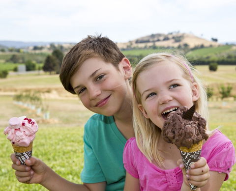 Yarra Valley Chocolaterie & Ice Creamery - Lightning Ridge Tourism 6