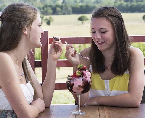 Yarra Valley Chocolaterie & Ice Creamery - Lightning Ridge Tourism 8