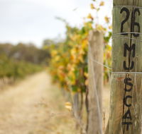 Stanton and Killeen Wines - Lightning Ridge Tourism