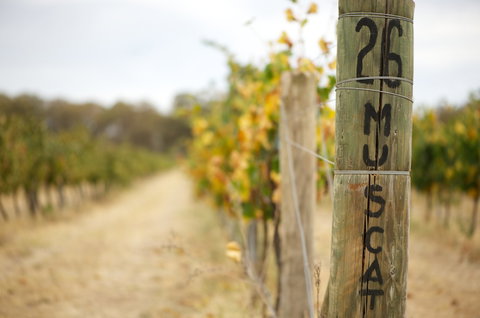 Stanton And Killeen Wines - Lightning Ridge Tourism 0