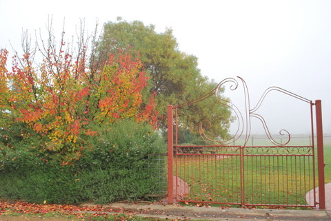 Stanton And Killeen Wines - Lightning Ridge Tourism 4