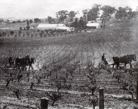 Stanton And Killeen Wines - Lightning Ridge Tourism 10