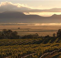 Montara Wines - Lightning Ridge Tourism